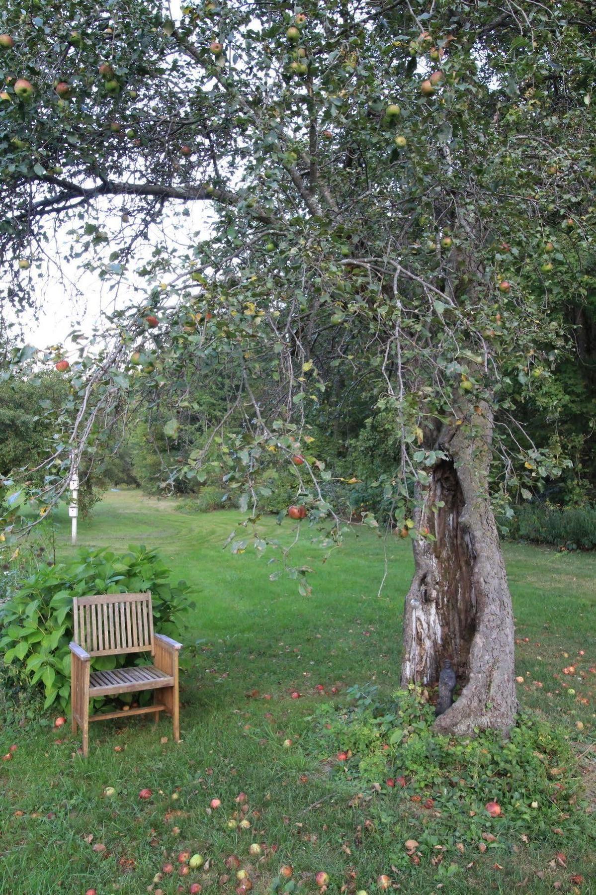 Sandgate Green River Inn المظهر الخارجي الصورة